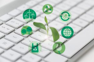 Website for Environmental Friendly Startups