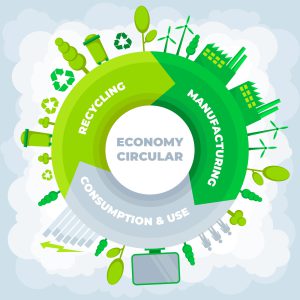 Circular Economy in Sustainable startups and businesses